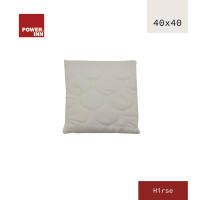 POWER INN® Hirsekissen 40 x 40 cm |  gallery