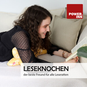 POWER INN® Leseknochen | Grau | Nackenkissen | Reisekissen
